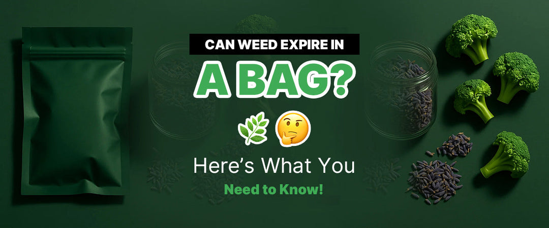 Can Weed Expire in a Bag? 🌿 🤔 Here’s What You Need to Know!