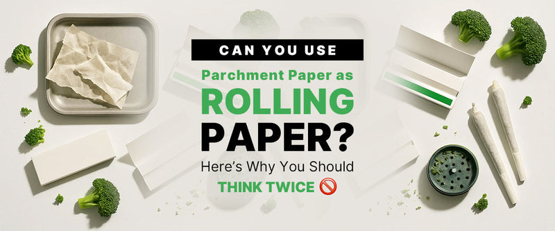 Can You Use Parchment Paper as Rolling Paper? Here’s Why You Should Think Twice 🚫