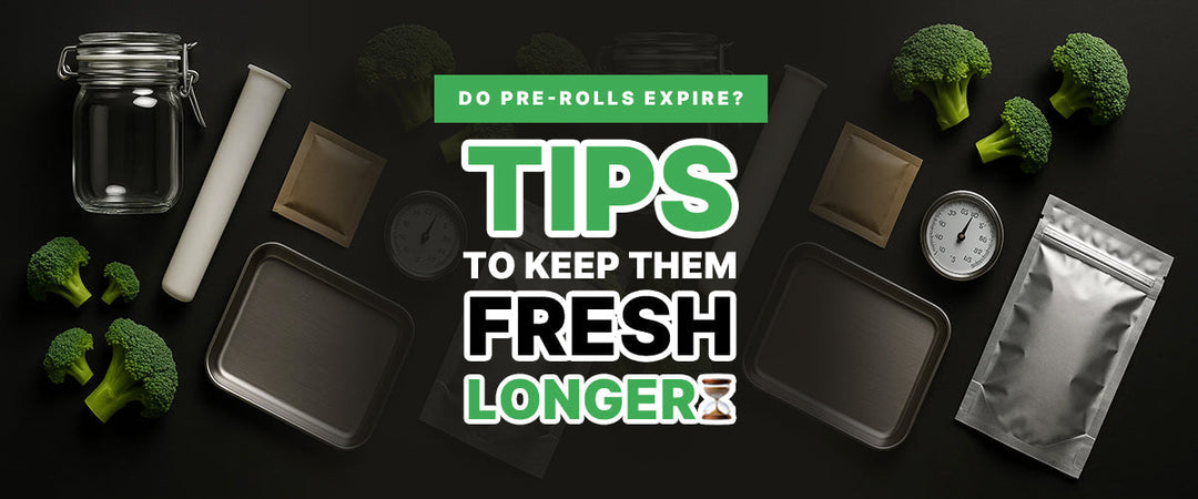 Do Pre-Rolls Expire? Tips to Keep Them Fresh Longer ⏳