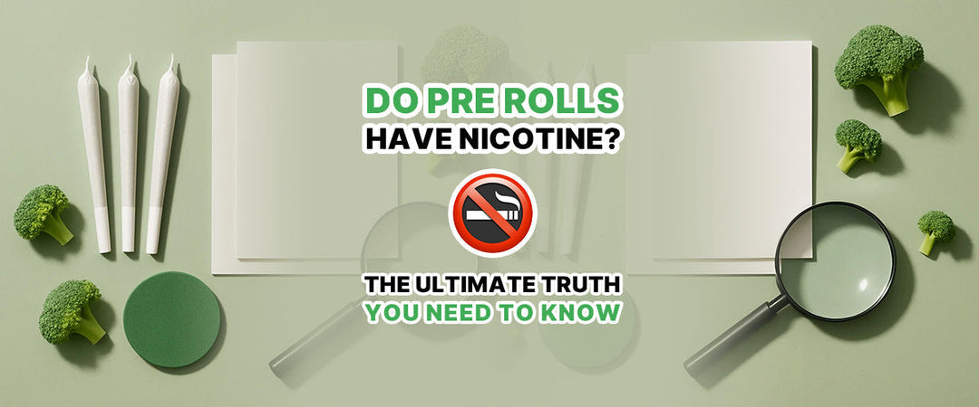 Do Pre Rolls Have Nicotine? 🚭 The Ultimate Truth You Need to Know