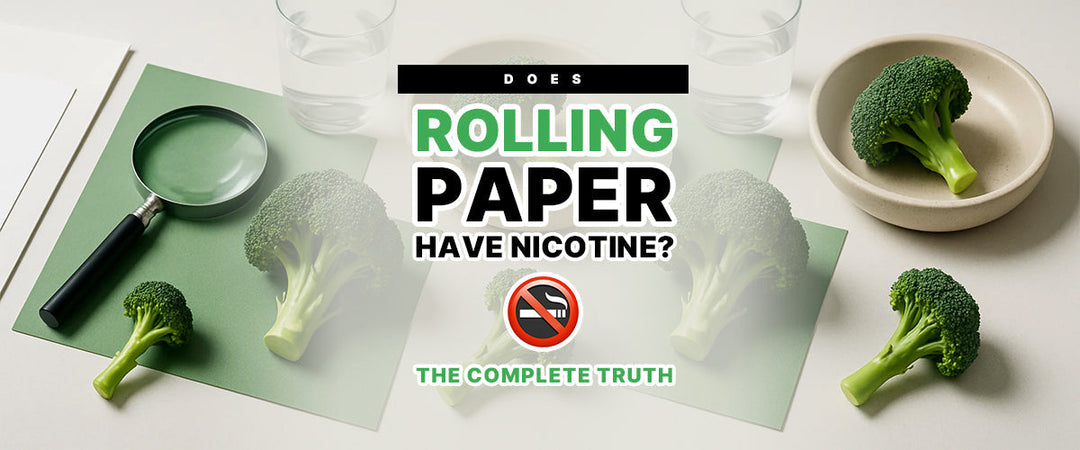 Does Rolling Paper Have Nicotine? 🚭 The Complete Truth
