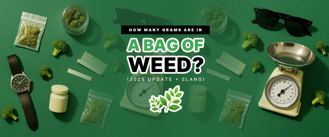 How Many Grams are in a Bag of Weed? (2025 Update + Slang) 🌿