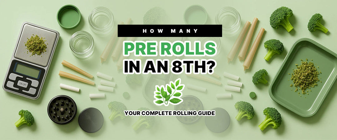How Many Pre Rolls in an 8th? 🌿 Your Complete Rolling Guide
