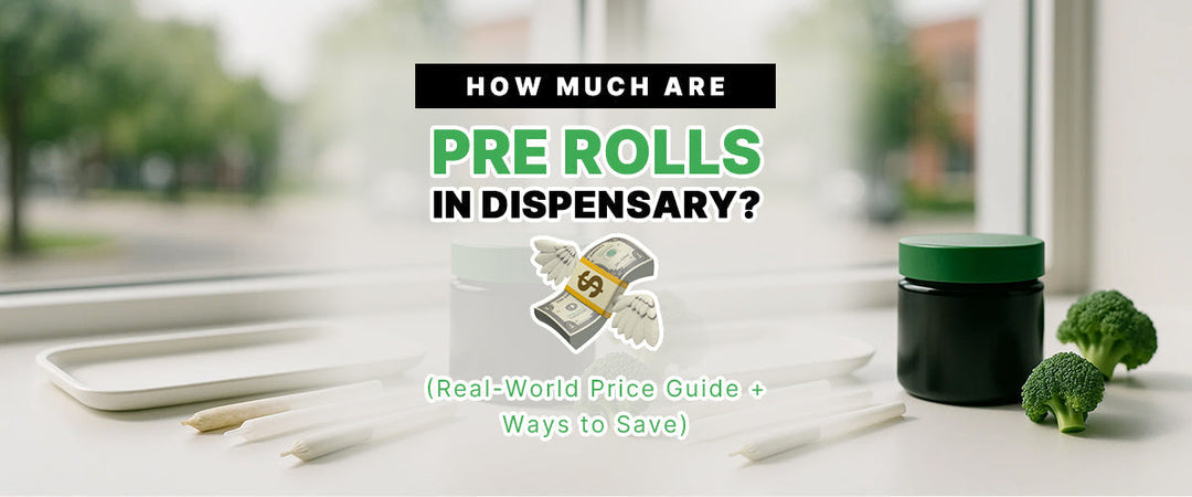 How Much Are Pre Rolls in Dispensary? 💸 (Real-World Price Guide + Ways to Save)