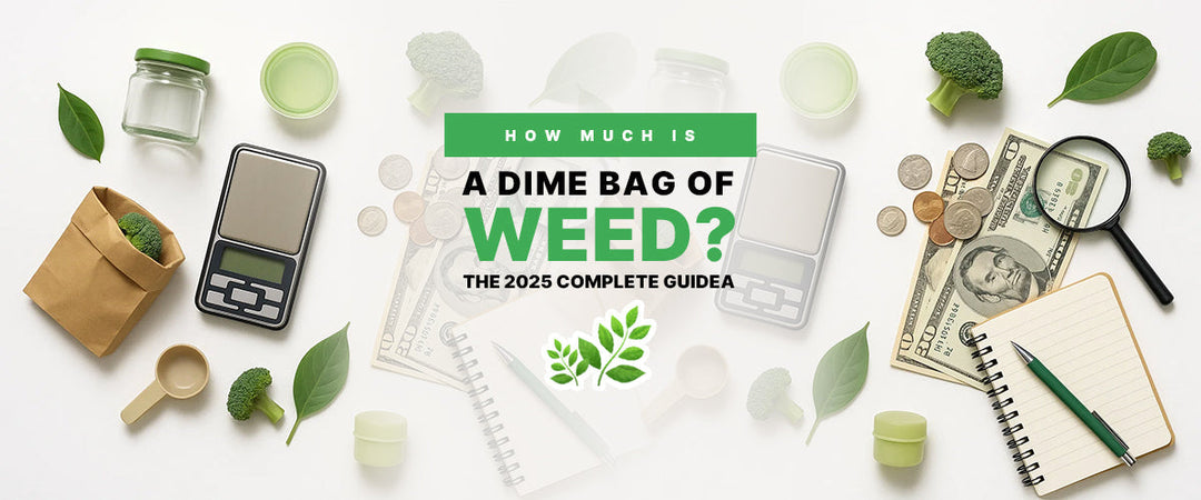 How Much Is a Dime Bag of Weed? The 2025 Complete Guide 🌿