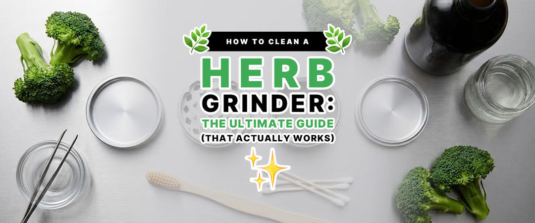 🌿 How to Clean a Herb Grinder: The Ultimate Guide (That Actually Works) ✨
