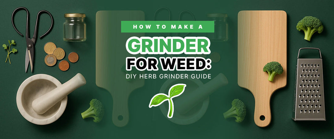 How to Make a Grinder for Weed DIY Herb Grinder Guide 🌱