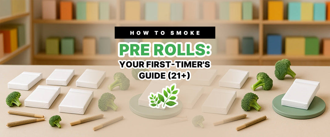 How to Smoke Pre Rolls: Your First-Timer's Guide (21+) 🌿