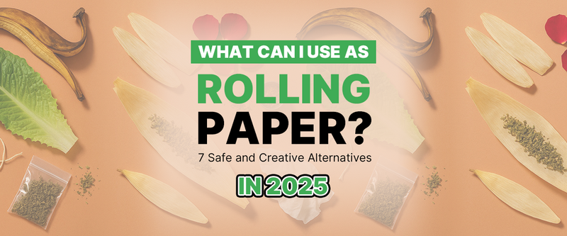 What Can I Use as Rolling Paper? 7 Safe and Creative Alternatives in 2025