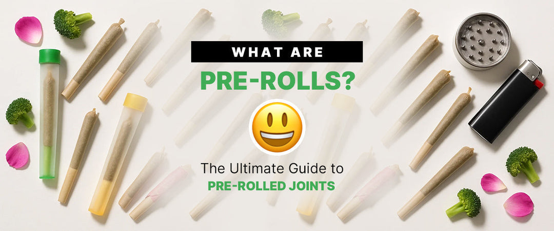 What Are Pre-Rolls? 😃 The Ultimate Guide to Pre-Rolled Joints