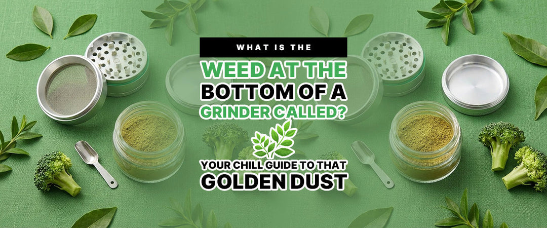 What Is the Weed at the Bottom of a Grinder Called? 🌿 Your Chill Guide to That Golden Dust