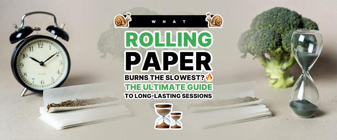 🐌 What Rolling Paper Burns the Slowest? 🔥 The Ultimate Guide to Long-Lasting Sessions ⏳