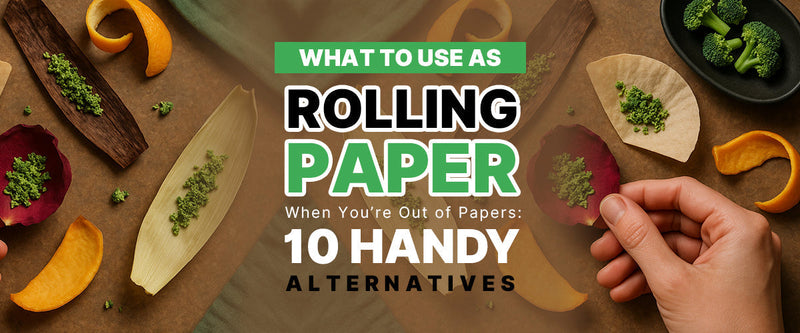 What to Use as Rolling Paper When You’re Out of Papers: 10 Handy Alternatives